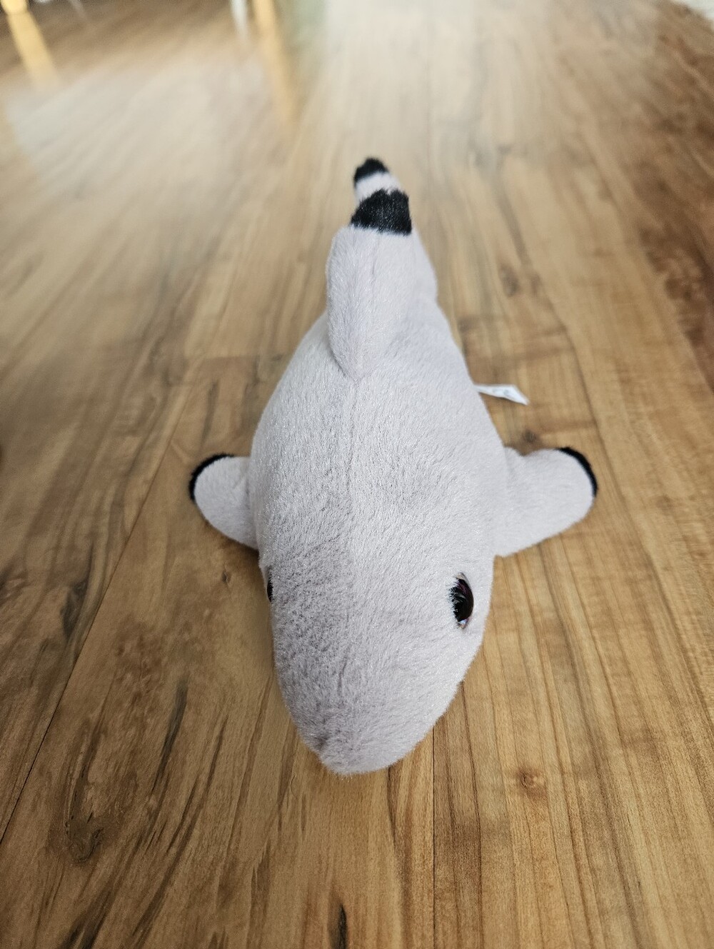 Plush Grey Shark Pet Toy - Soft Stuffed Fish